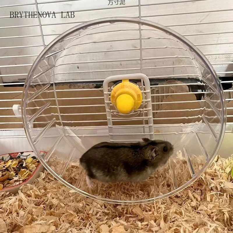 Hamster Running Wheel with Sta - Hamster Cage Wheel recension och pris