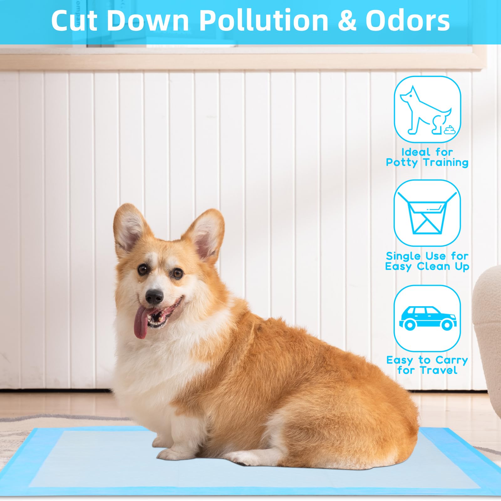 LeakProof Pee Pads for Dogs Qu - Pet Supplies Wholesale recension och pris