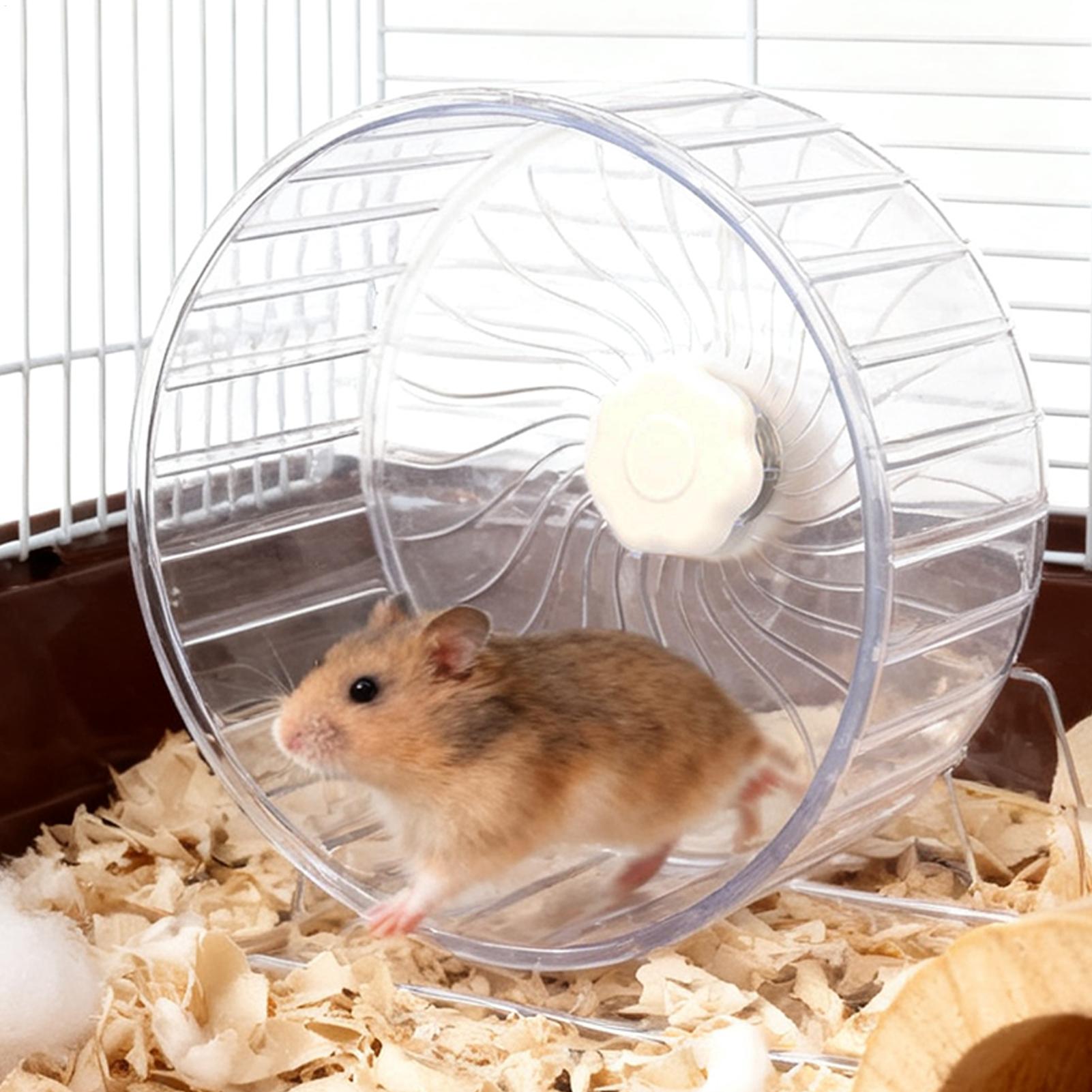 Hamster Running Sport Transpar - Hamster Cage Wheel recension och pris