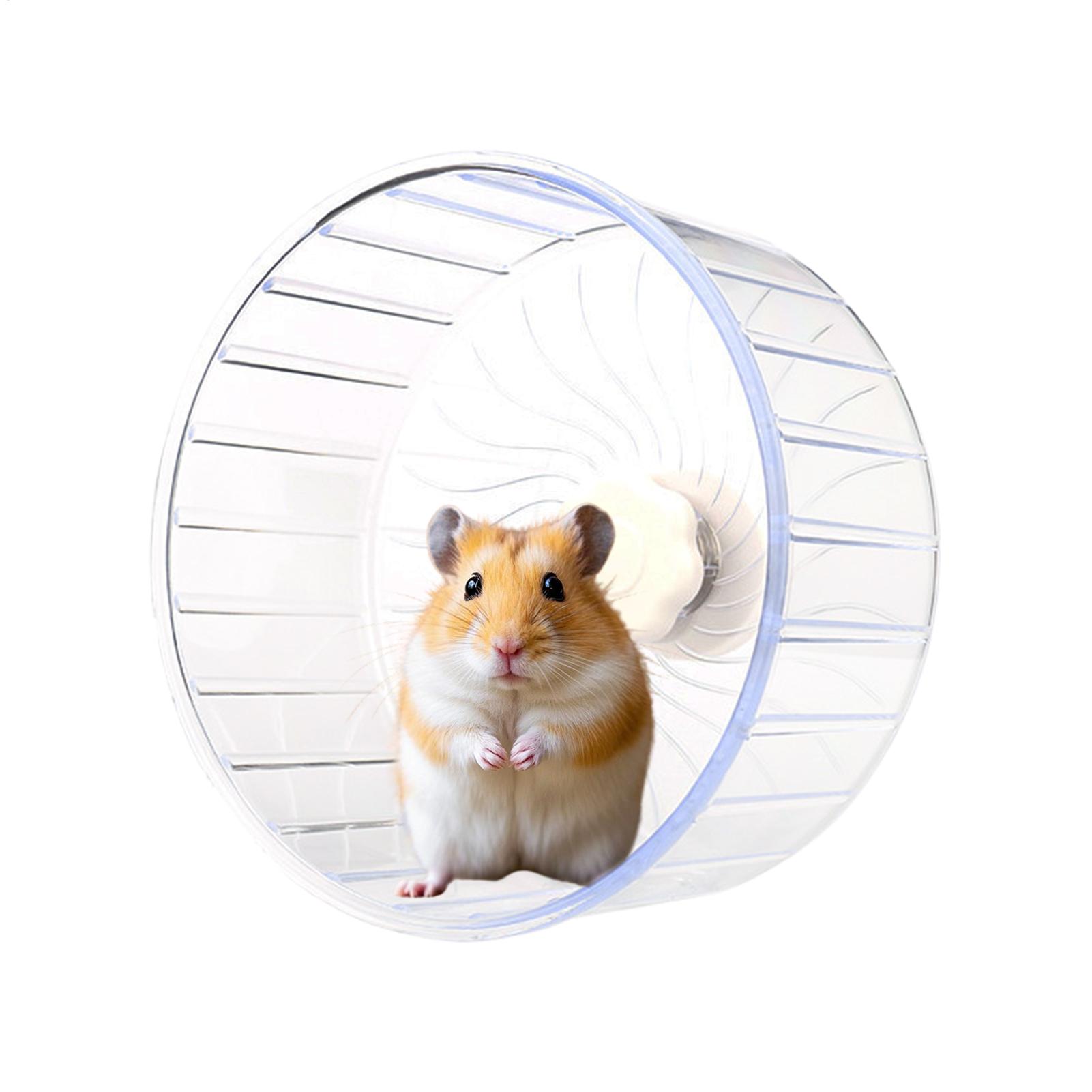 Hamster Running Sport Transpar - Hamster Cage Wheel recension och pris