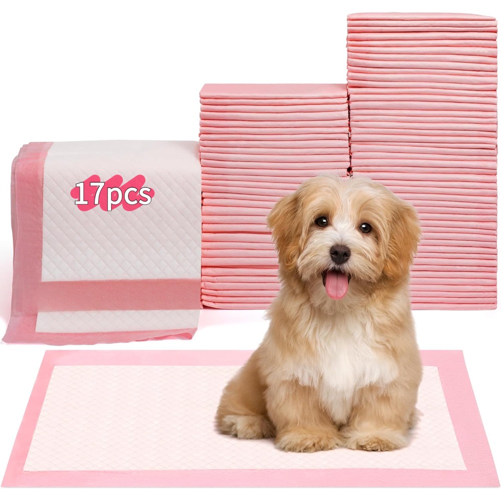 100/50/30/20/10Pcs Pet Toilet  - Pet Supplies Wholesale recension och pris