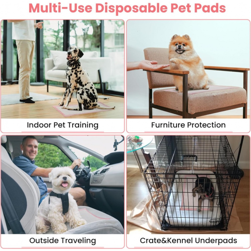 100/50/30/20/10Pcs Pet Toilet  - Pet Supplies Wholesale recension och pris