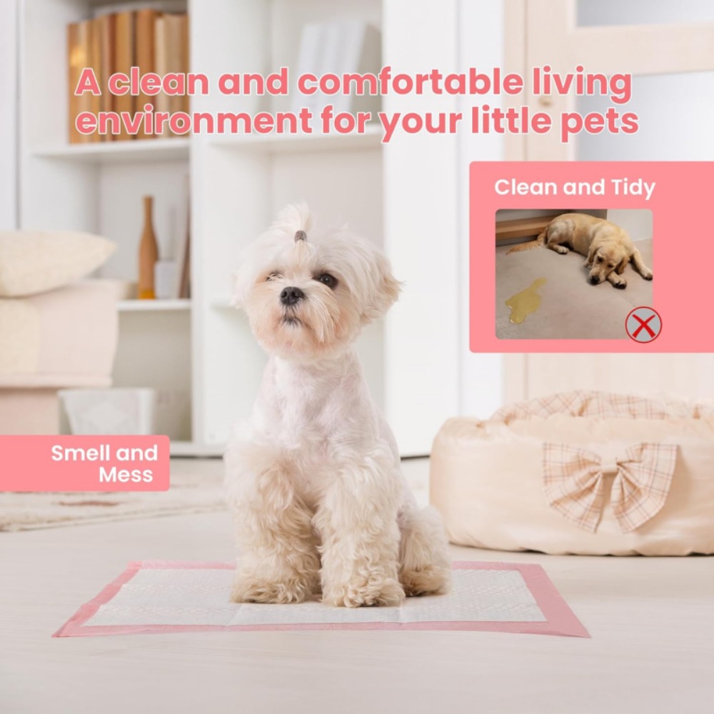 100/50/30/20/10Pcs Pet Toilet  - Pet Supplies Wholesale recension och pris