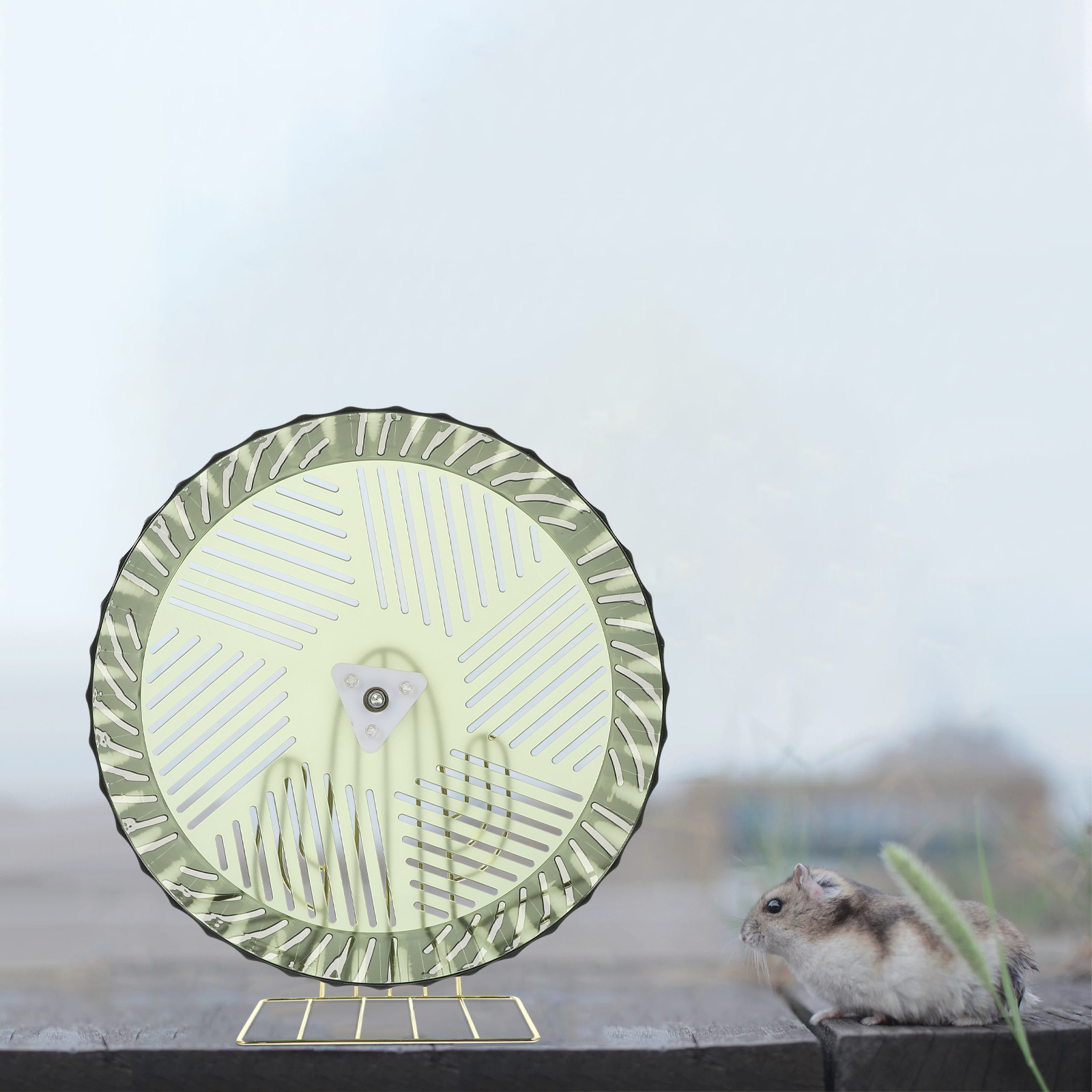 Healthy Growth Hamster Wheel E - Hamster Cage Wheel recension och pris