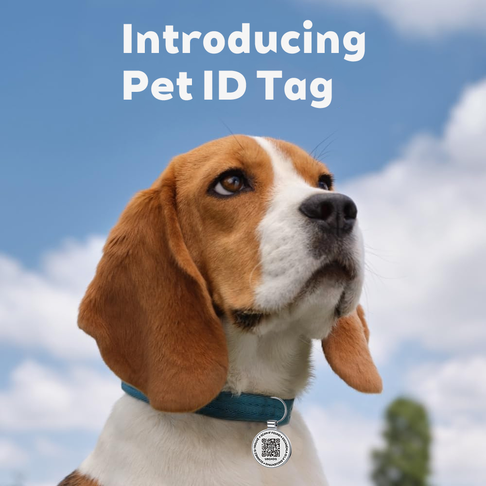 QR ID Pet Tag, Metal Dog Tag w - Pet Supplies Online recension och pris