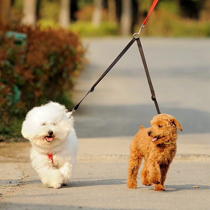 Outdoor Walking Two Dogs Leash - Retractable Dog Leash recension och pris