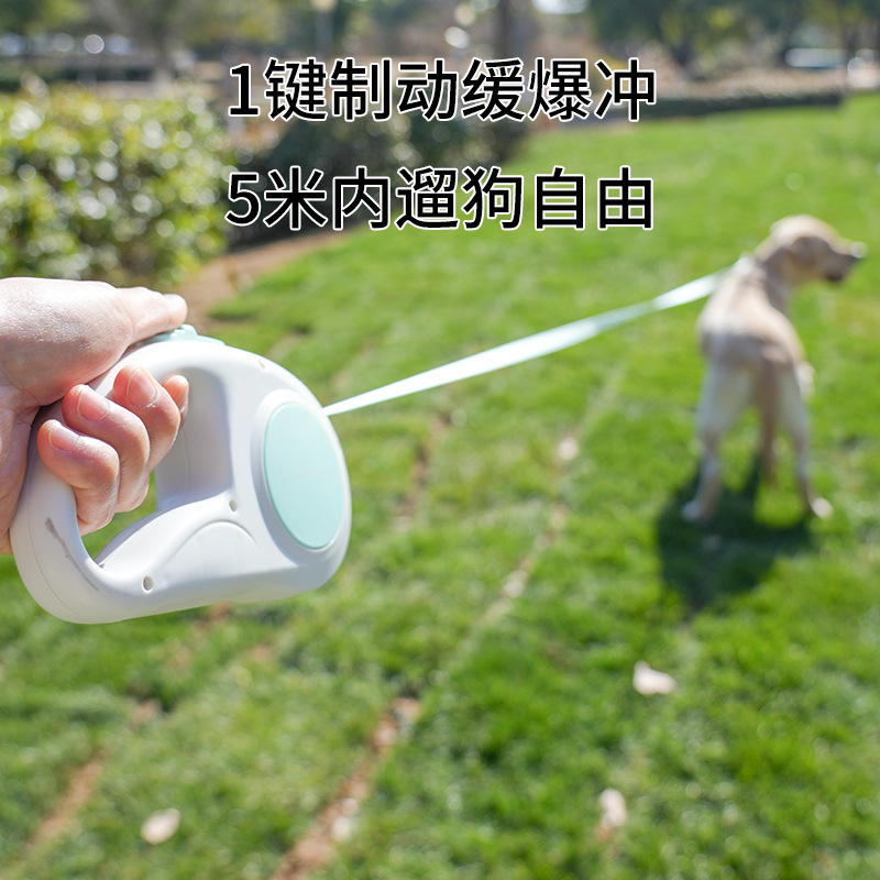 Pet leash Retractable leash La - Retractable Dog Leash recension och pris
