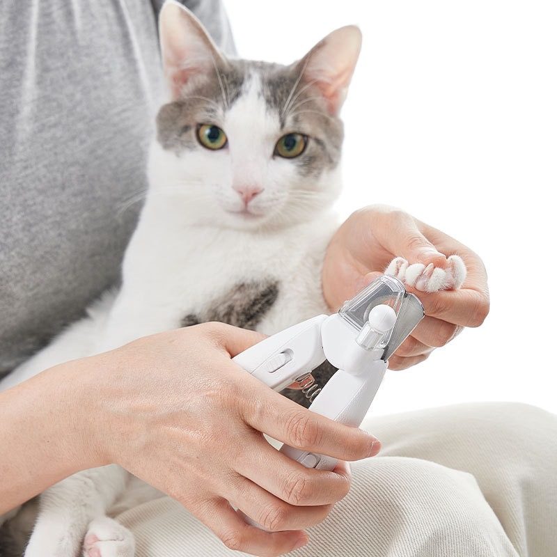 PETKIT Hair Cutting Machine Do - Pet Supplies Grooming Hours recension och pris
