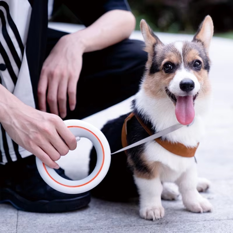 Moestar UFO 개폐식 가죽 끈 2 라이트 금속  - Retractable Dog Leash recension och pris