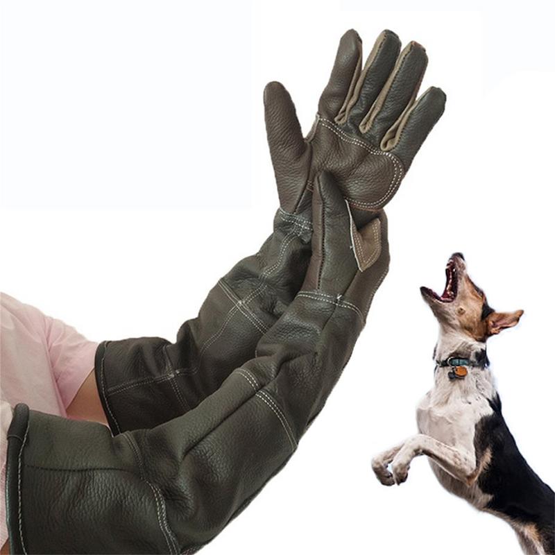 Pet Gloves Cowhide Leather Ant - Pet Grooming Glove recension och pris