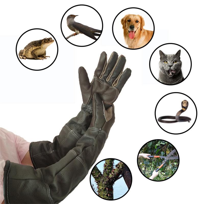 Pet Gloves Cowhide Leather Ant - Pet Grooming Glove recension och pris