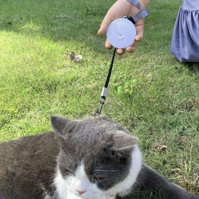 2M/3M Retractable Mini Dog Lea - Retractable Dog Leash recension och pris