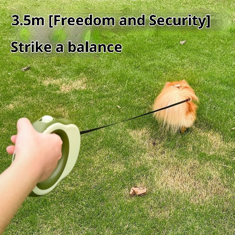  3.5 Meters Retractable Dog Le - Retractable Dog Leash recension och pris