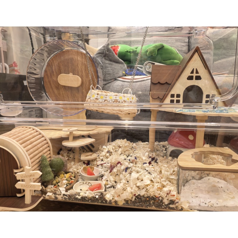 Silent Transparent Hamster Run - Hamster Cage Wheel recension och pris