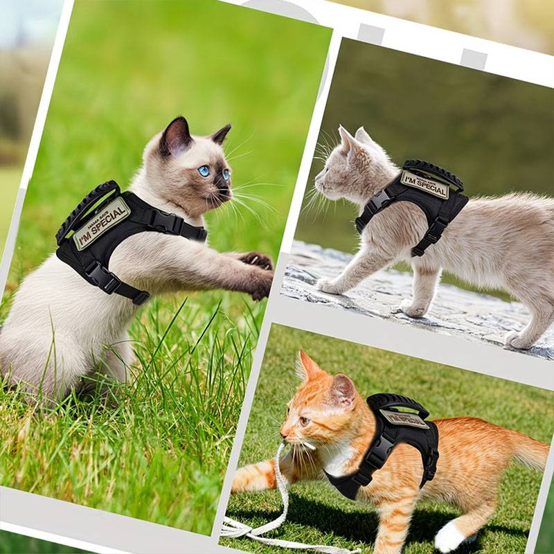 Breathable Tactical Pet Harnes - Retractable Dog Leash recension och pris