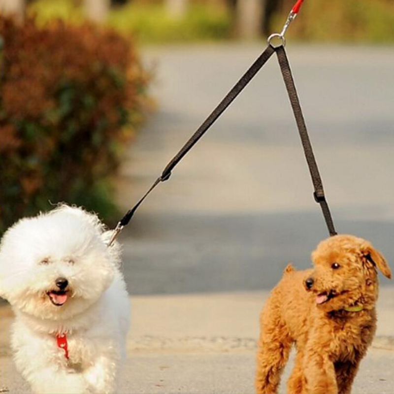 1pc Double Twin Dual Coupler D - Retractable Dog Leash recension och pris