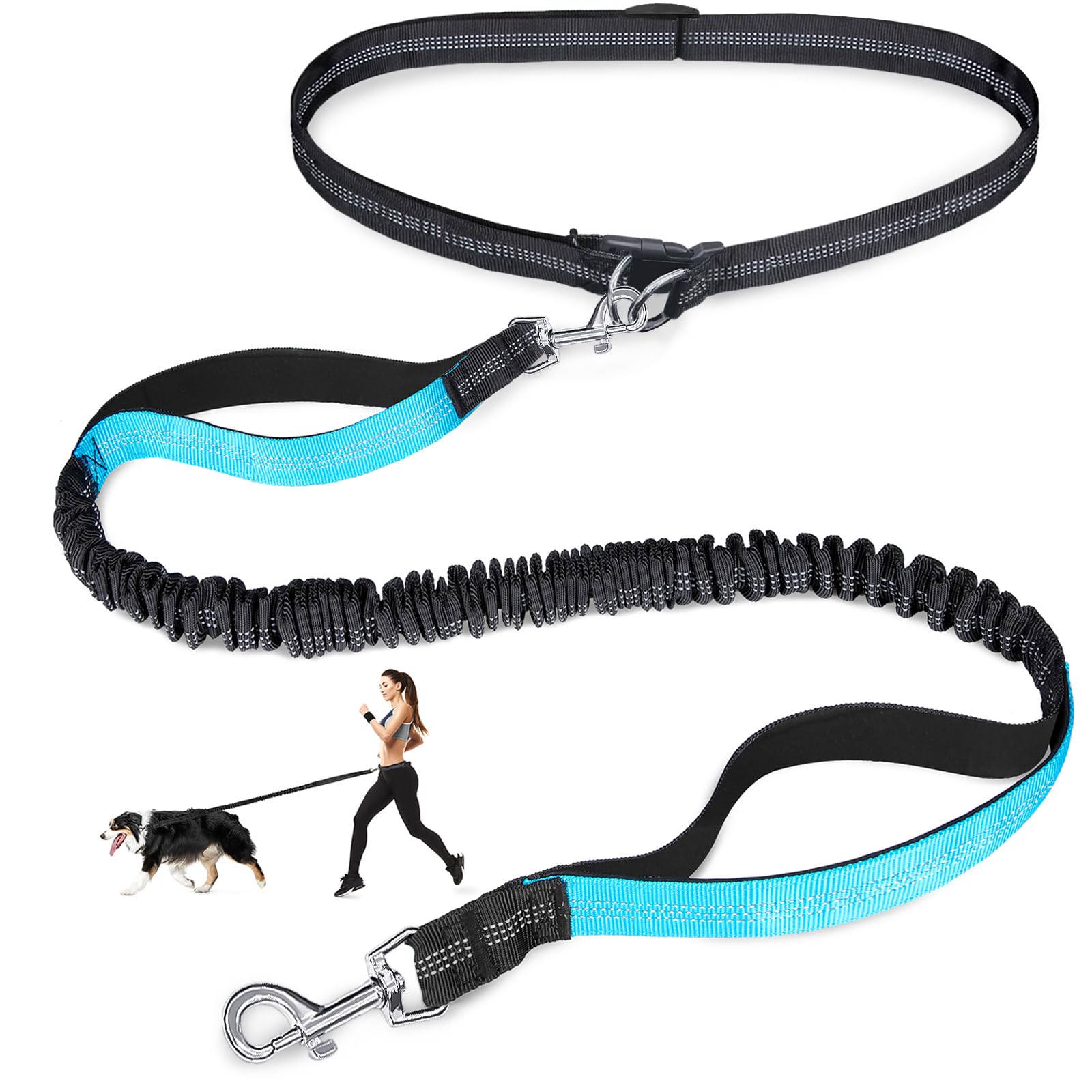 Double elastic reflective runn - Pet Supplies Wholesale recension och pris