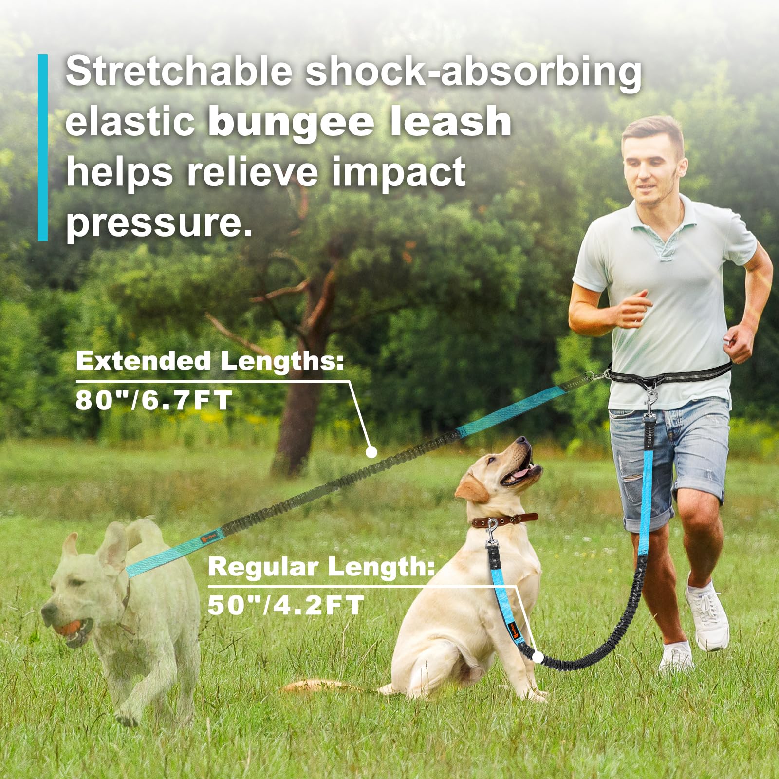 Double elastic reflective runn - Pet Supplies Wholesale recension och pris