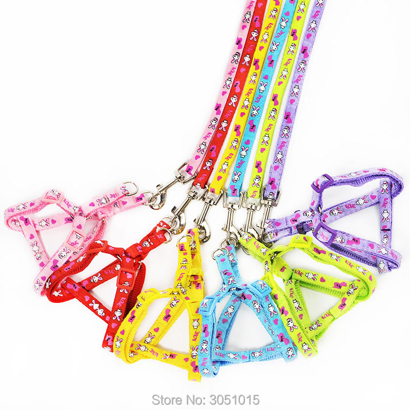 Wholesale 20 pcs Kitten Puppy  - Pet Supplies Wholesale recension och pris