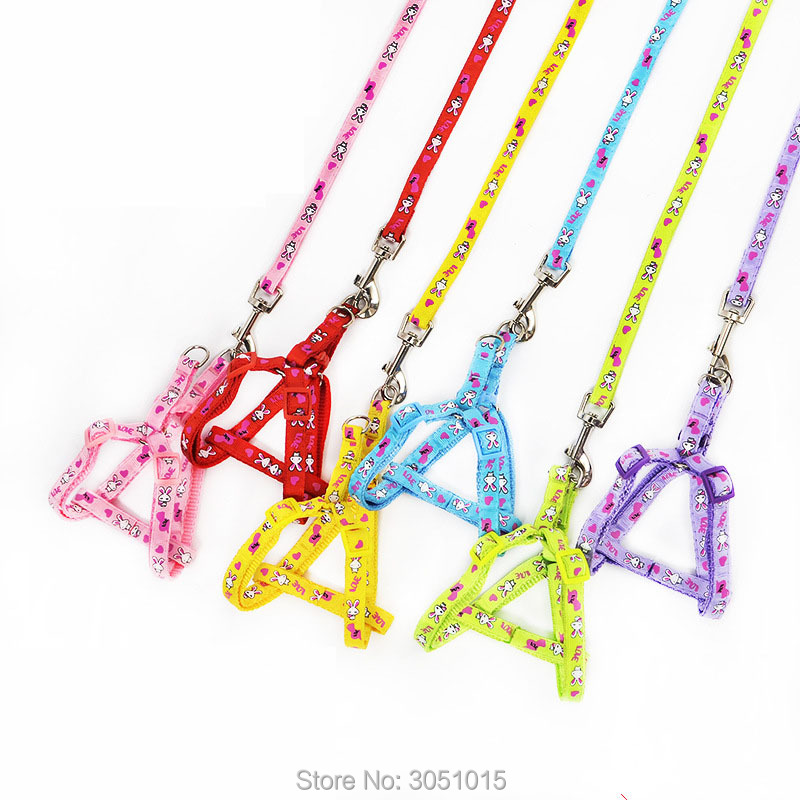 Wholesale 20 pcs Kitten Puppy  - Pet Supplies Wholesale recension och pris