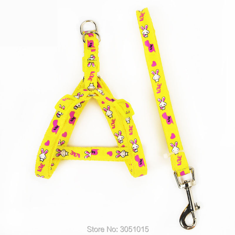 Wholesale 20 pcs Kitten Puppy  - Pet Supplies Wholesale recension och pris