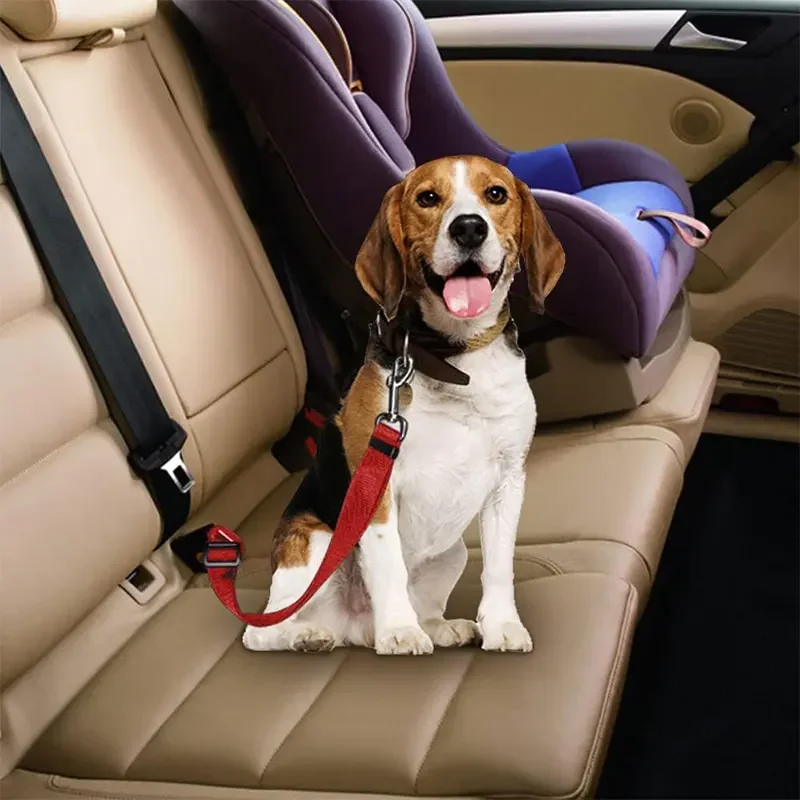 Pet Dog Car Seat Belt, Double- - Retractable Dog Leash recension och pris