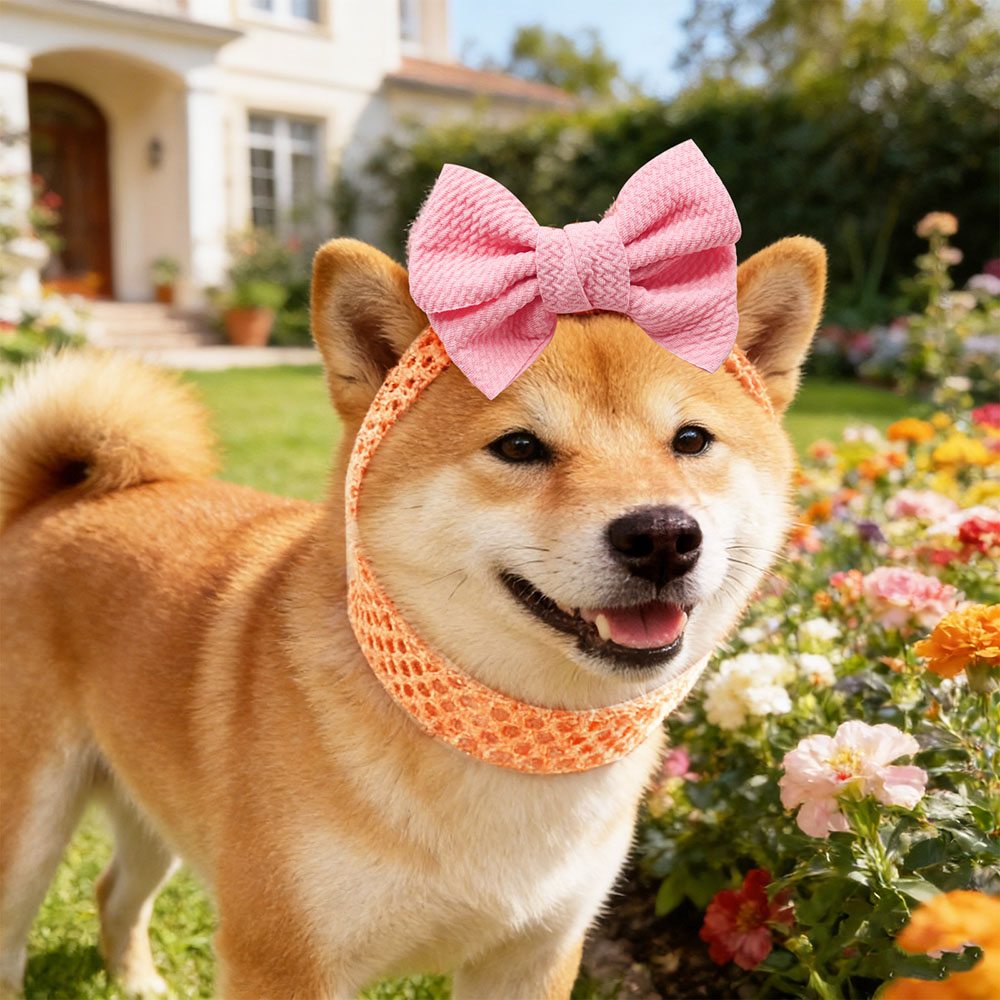 50PCS Dog Bows Elastic Bands C - Pet Supplies Wholesale recension och pris