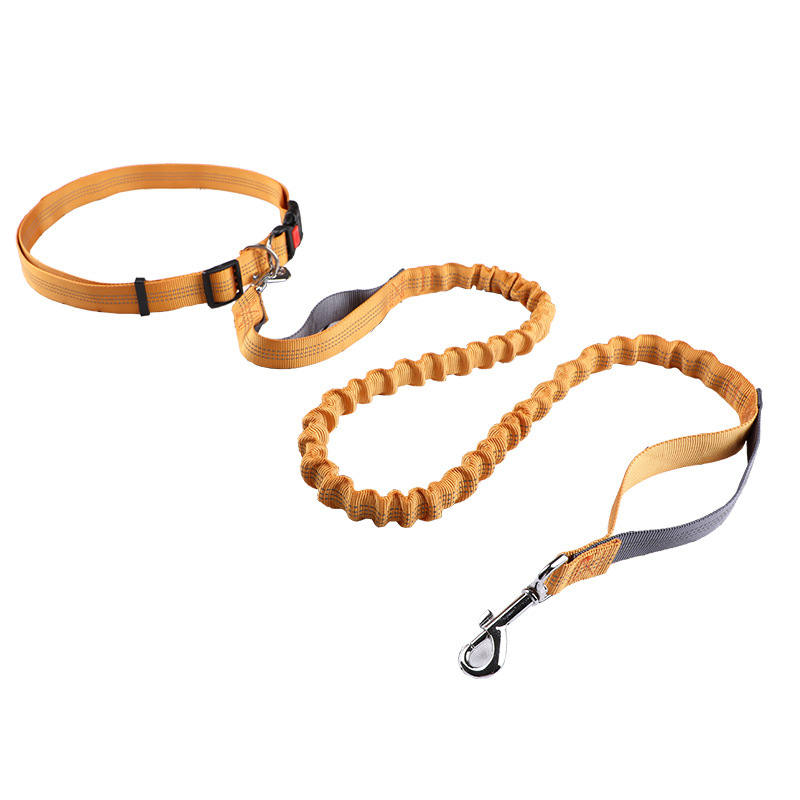 Pet leash Running leash, retra - Retractable Dog Leash recension och pris