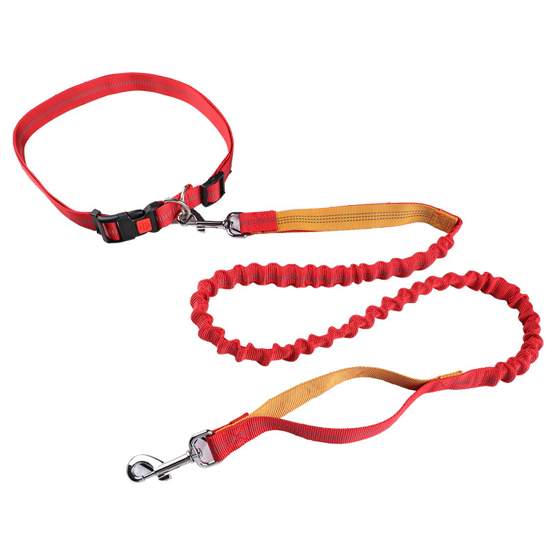 Pet leash Running leash, retra - Retractable Dog Leash recension och pris