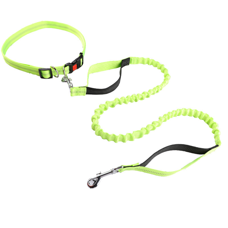 Pet leash Running leash, retra - Retractable Dog Leash recension och pris