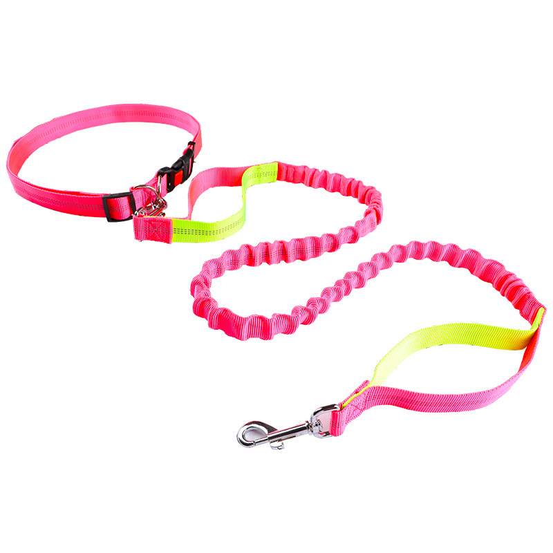 Pet leash Running leash, retra - Retractable Dog Leash recension och pris
