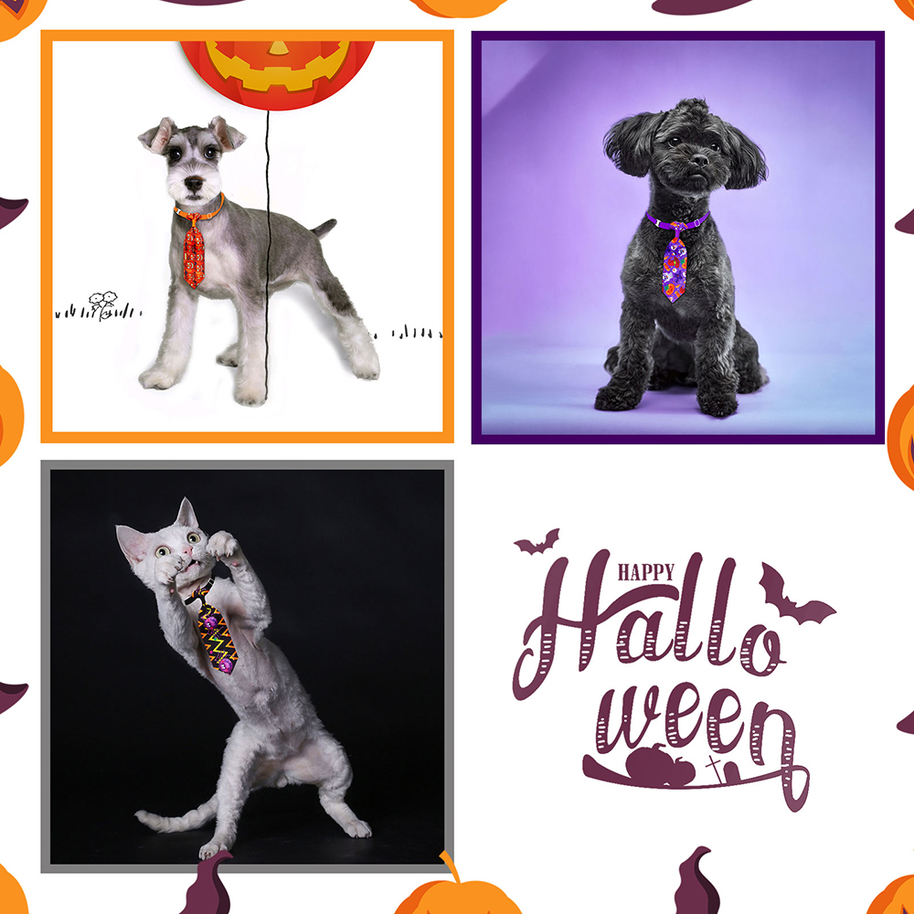 50/100pcs Halloween Dog Groomi - Pet Supplies Co recension och pris