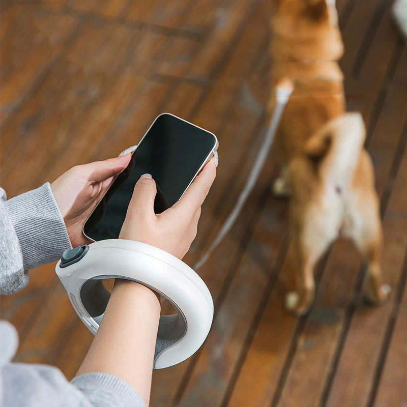 LED Pet Retractable Leash Wear - Retractable Dog Leash recension och pris