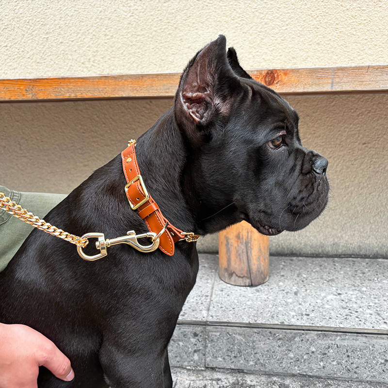 Loudik Wholesale Pet Collar Le - Pet Supplies Wholesale recension och pris