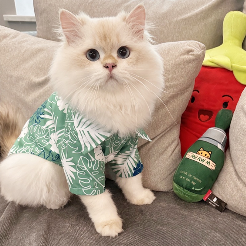 Summer Hawaiian Beach Style Do - Pet Supplies Co recension och pris