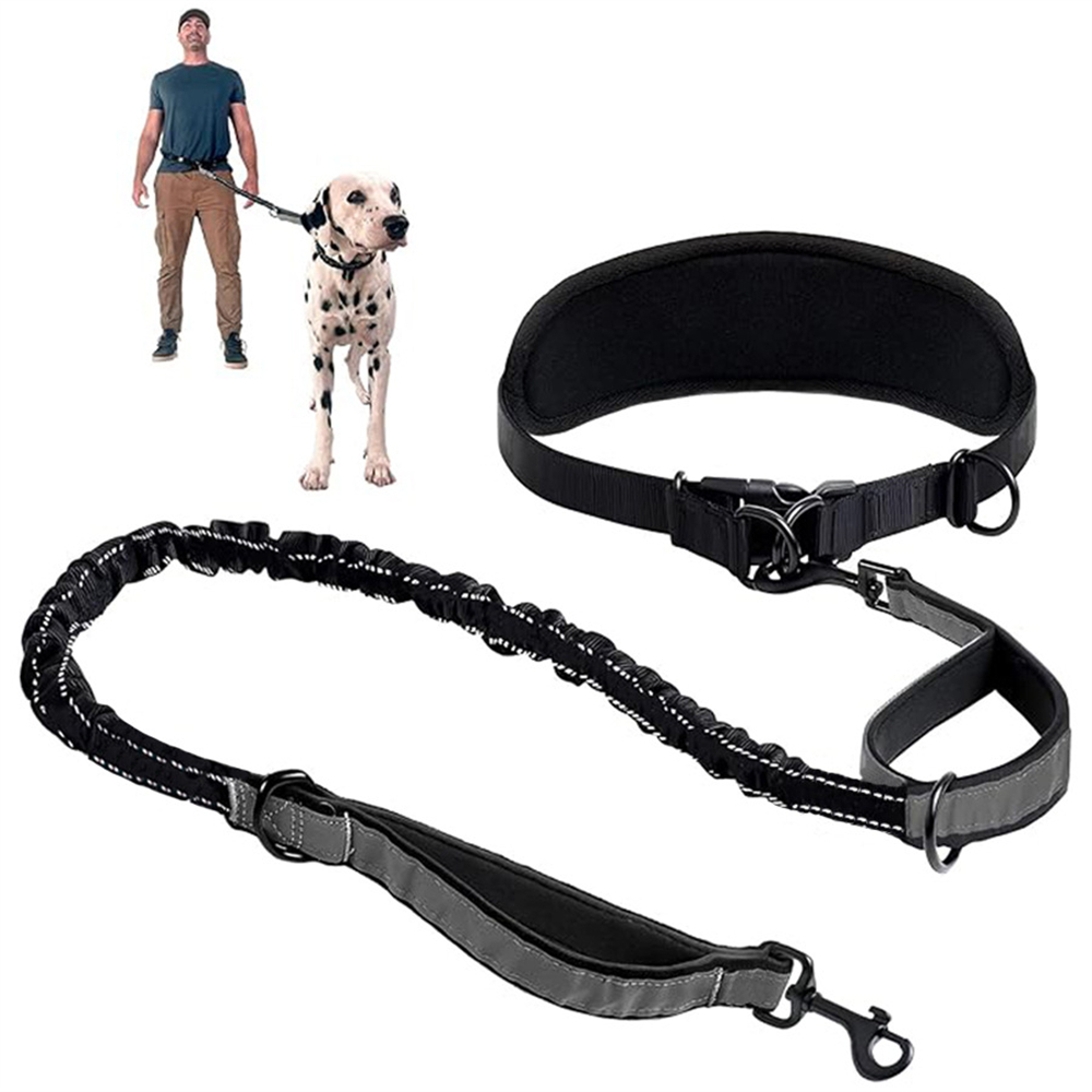 Hands Free Dog Leash Dog Waist - Retractable Dog Leash recension och pris