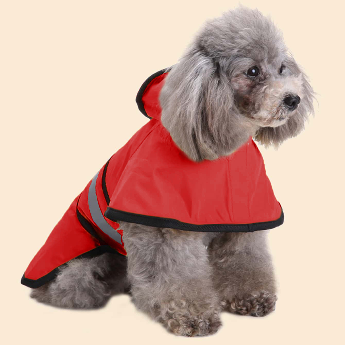 Spring Summer Waterproof Refle - Pet Supplies Co recension och pris